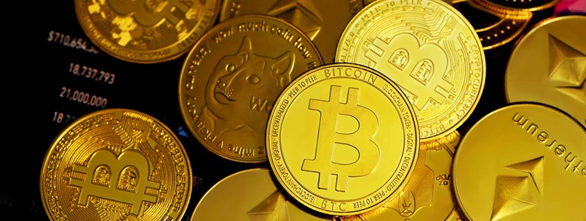 aa5e2be133-1655732673_a1b058e0-21f4-464d-a9f5-17548836f2fd